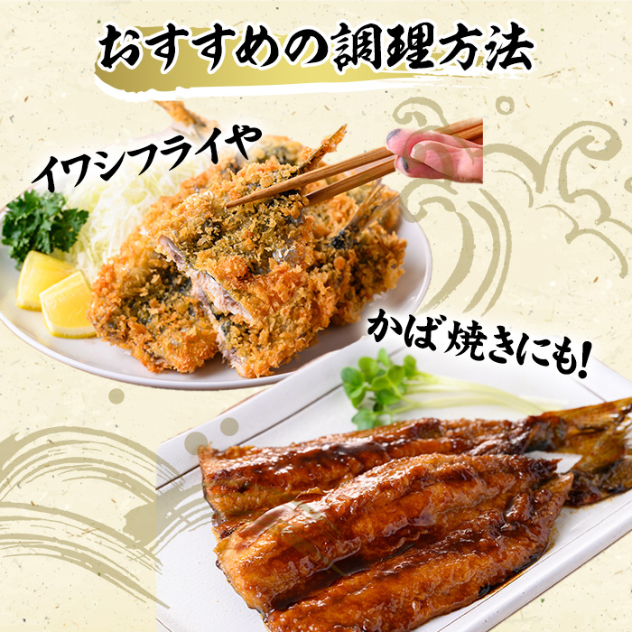 境港産 無塩いわしひらき(計20尾)【sm-CD009】【羽根】