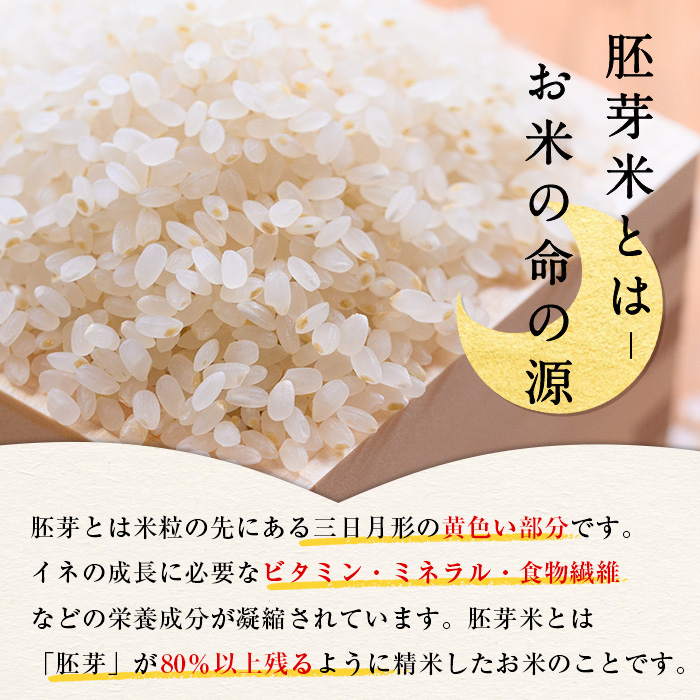 ＜7～10月配送不可＞鳥取県産胚芽米(計7kg・5kg袋 / 2kg袋)【sm-CL001】【豆ひとつぶ】