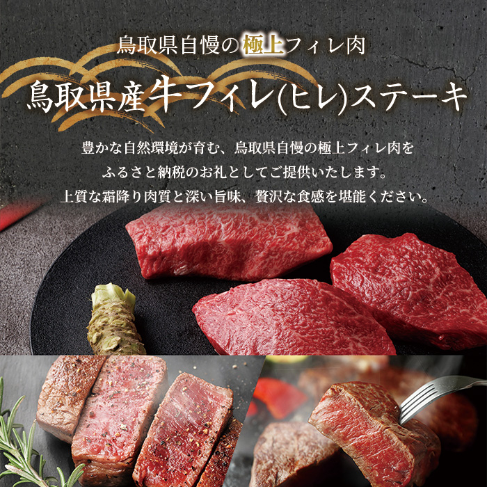 ＜和牛セレブ＞鳥取県産牛フィレ(ヒレ)ステーキ(5枚)【sm-DC012】【Giverichホールディングス】