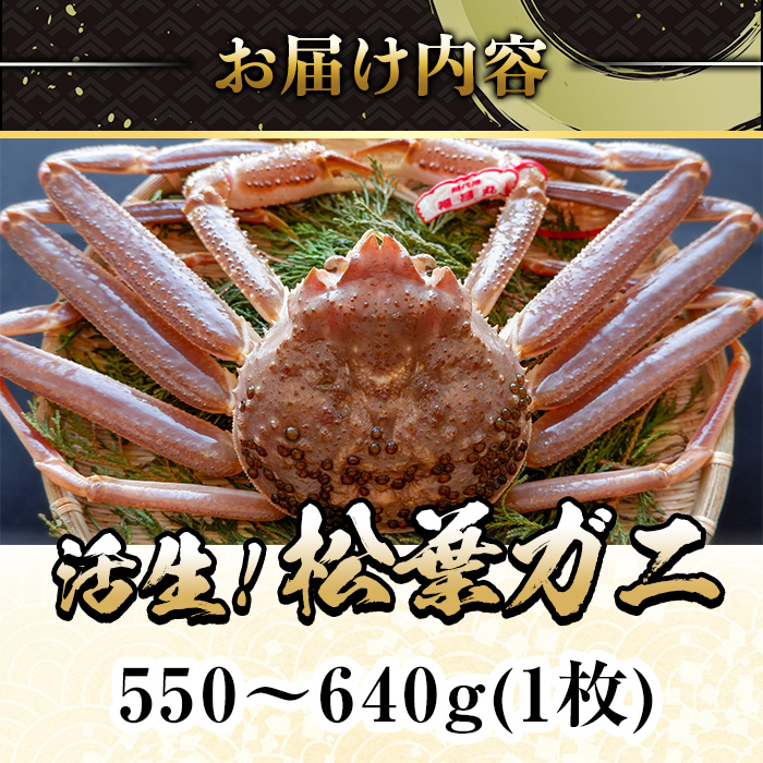 ＜平日着※指定日不可＞＜期間限定＞＜11月中旬～3月中旬発送予定＞松葉ガニ 活生(550?640g・1枚)【sm-DD044-A】【Workplays】