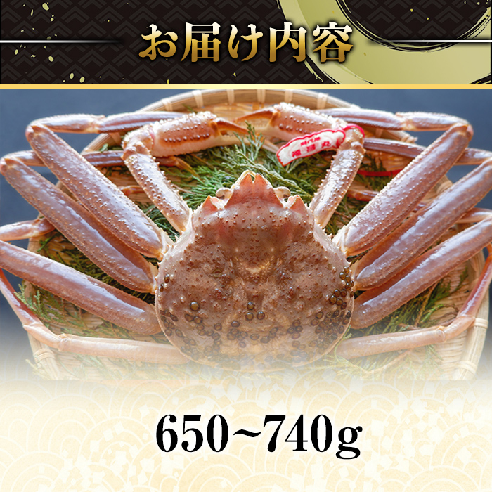 ＜平日着※指定日不可＞＜期間限定・訳あり＞＜11月中旬～3月中旬発送予定＞松葉ガニ 活生(約650～740g/1枚)【sm-DD049-A】【Workplays】