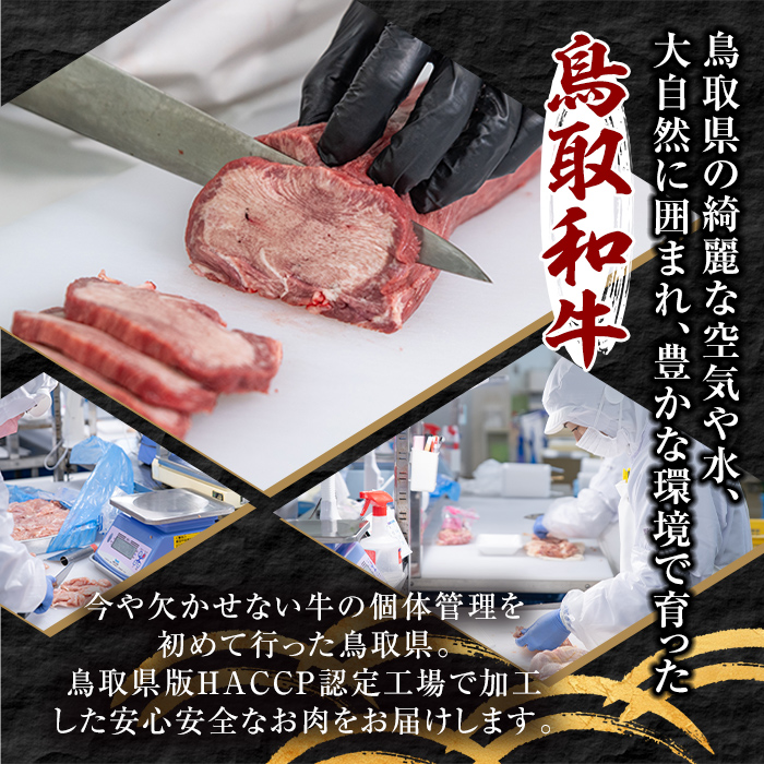 A5鳥取県産黒毛和牛ヒレステーキ(10枚) 【sm-DH006】【カタセイ】