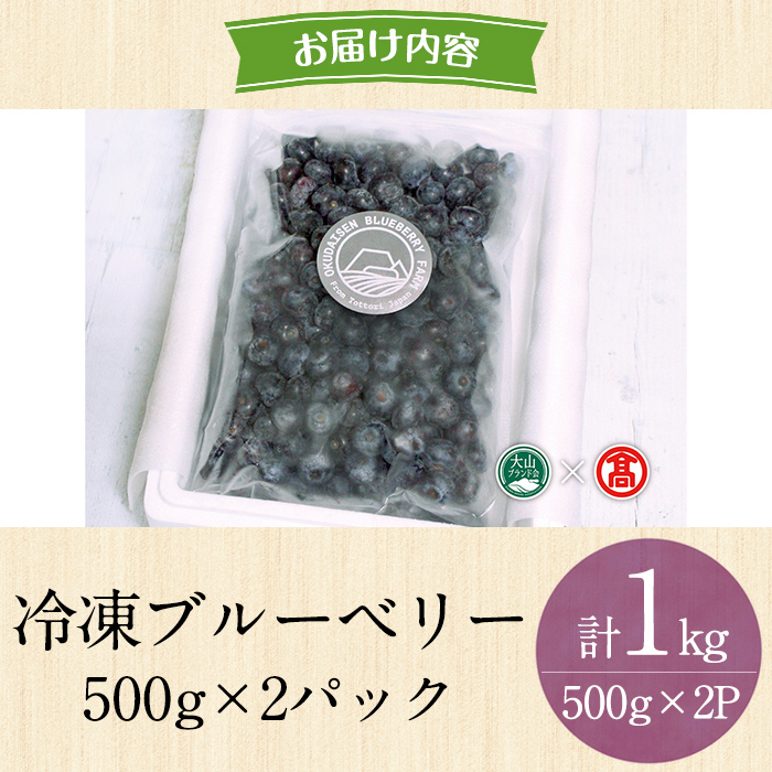 ＜数量限定＞冷凍ブルーベリー(500g×2P・計1kg)【T-BI4】【大山ブランド会】
