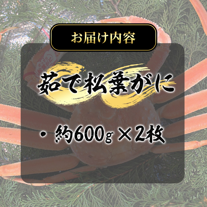 ＜2025年11月～2026年3月上旬発送予定＞茹で松葉がに(2枚・計約1.2kg)【T-DI5】【大山ブランド会】