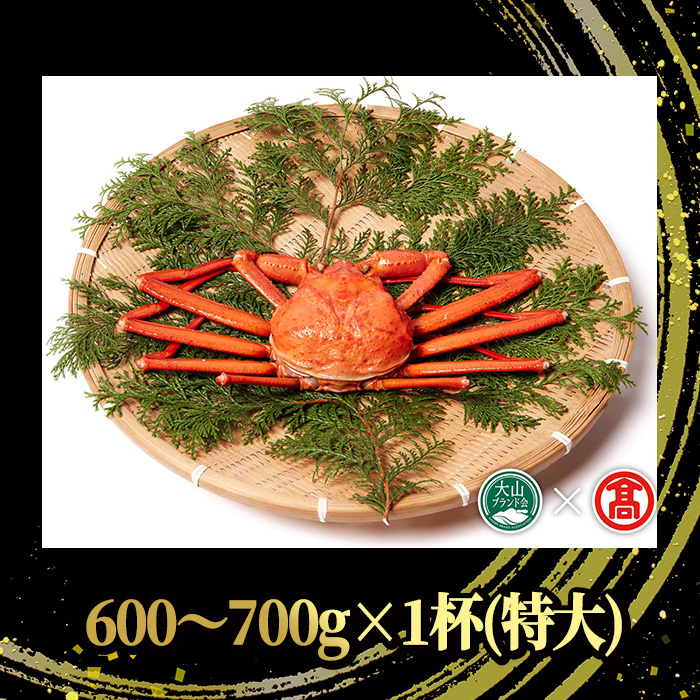 ＜土日祝着※指定日不可＞＜2025年11月～2026年6月下旬発送予定＞蟹屋の釜茹で紅ずわい蟹(600～700g・1杯(特大))【T-DT2-B】【大山ブランド会】