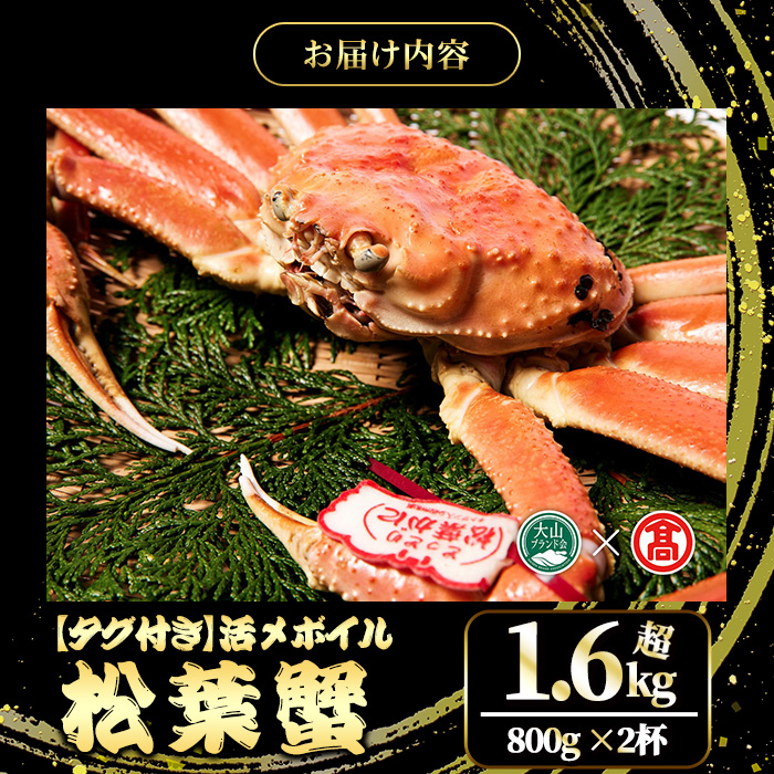 ＜平日着※指定日不可＞＜2025年11月～2026年2月下旬発送予定＞【タグ付き】活〆ボイル松葉蟹2杯セット(大・800g以上×2杯)【T-DT4-A】【大山ブランド会】