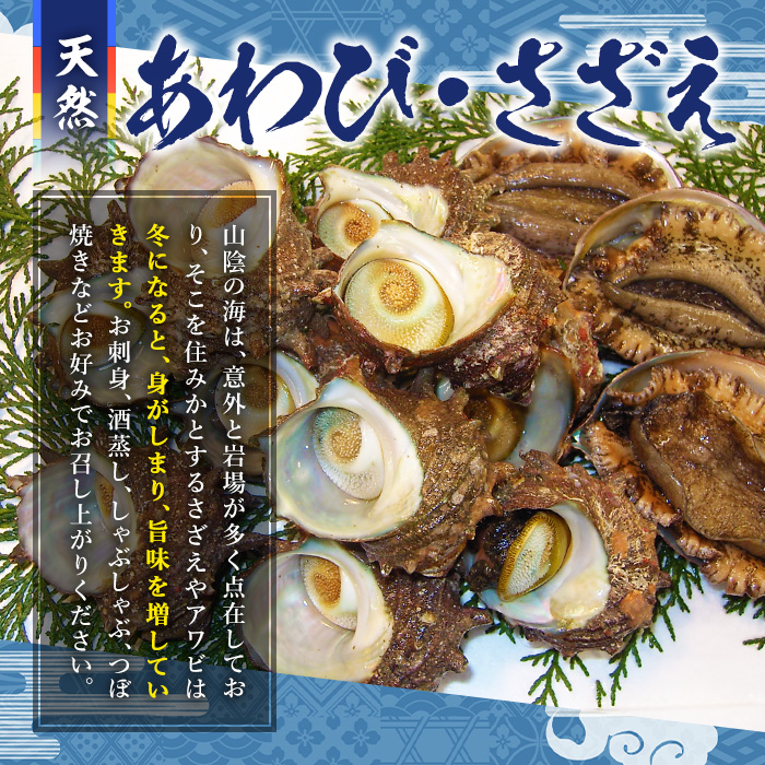 ＜平日着＞＜1月上旬～2月上旬頃順次配送＞あわび・さざえ詰合せ(2種)【sm-AA002-A】【いたくら】