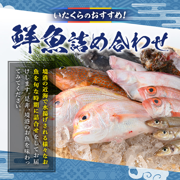 ＜土日祝着＞＜7～8月・年末年始配送不可＞おすすめ鮮魚詰め合わせ(4～5種類)【sm-AA003-B】【いたくら】