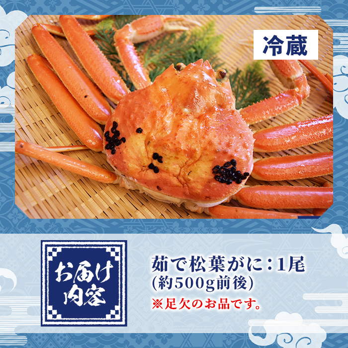 ＜土日祝着＞＜訳あり！1月中旬～2月下旬配送予定＞茹で松葉がに 足欠(約500g前後・1尾)【sm-AA009-B】【いたくら】