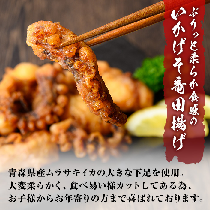 網元自慢のこだわりいかセット(2種・計850g)【sm-AJ005】【福栄】