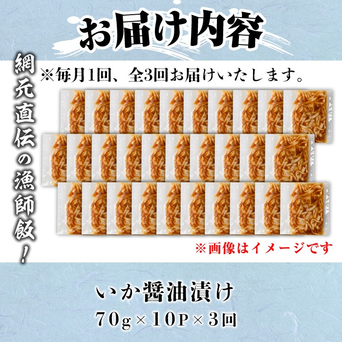 ＜定期便3回＞ご飯がススム！網元直伝の漁師飯！いか醤油漬けセット(700g×3ヶ月・計2.1kg) 【sm-AJ008】【福栄】