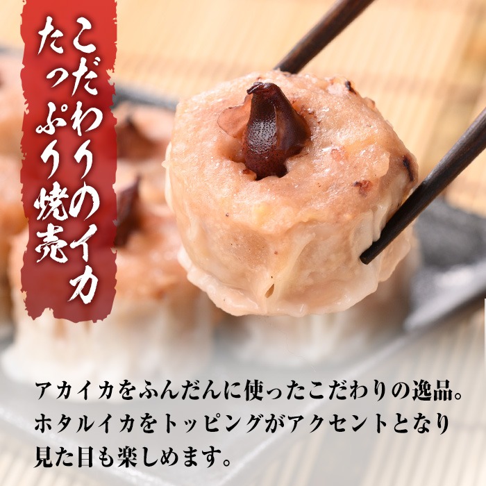 ＜定期便3回＞ いか屋が作ったこだわりのいか三昧(3種) 【sm-AJ009】【福栄】