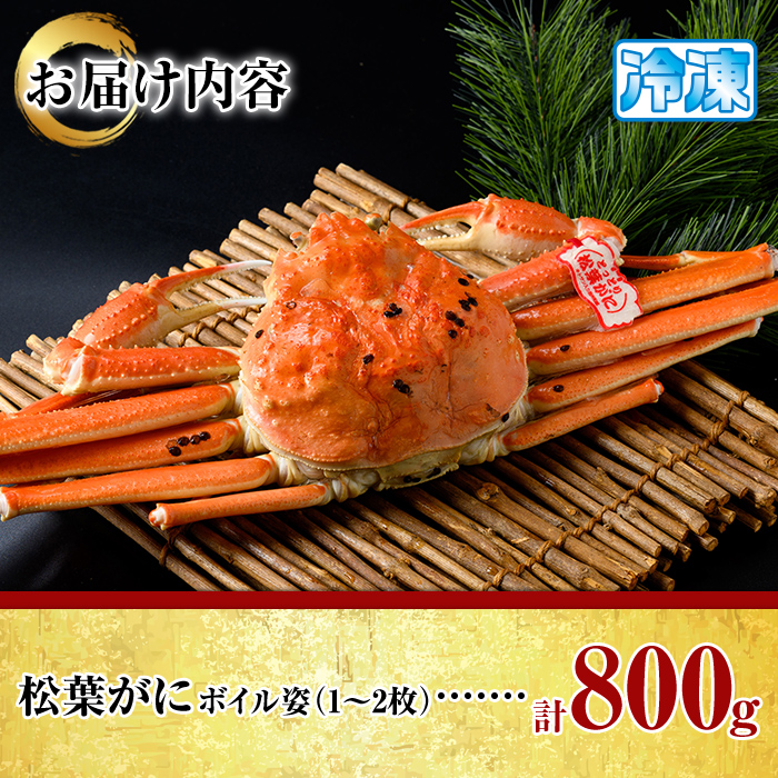 松葉がに ボイル姿(1～2枚・計800g)【sm-AK003】【大漁市場なかうら】