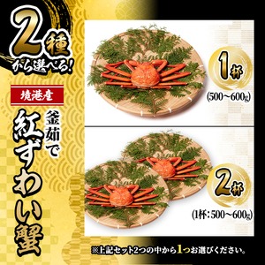 ＜10月上旬～順次発送予定＞＜土日祝着※指定日不可＞蟹屋の釜茹で紅ずわい蟹(500～600g×1杯(大)) 【sm-AL001-B】【マルツ】