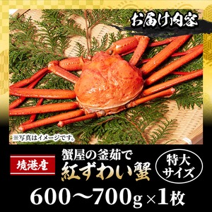 ＜土日祝着※指定日不可＞蟹屋の釜茹で紅ずわい蟹(特大・1枚)【sm-AL021-B】【マルツ】