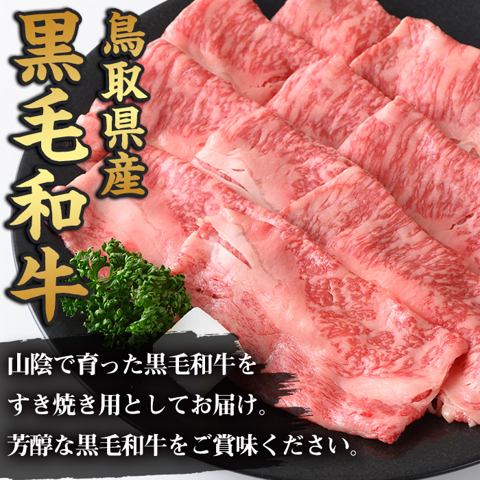 鳥取黒毛和牛ロースすき焼き用(380g)【sm-AP004】【いろは精肉本店】