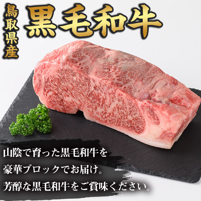 鳥取黒毛和牛ロースブロック(1.2kg)【sm-AP005】【いろは精肉本店】
