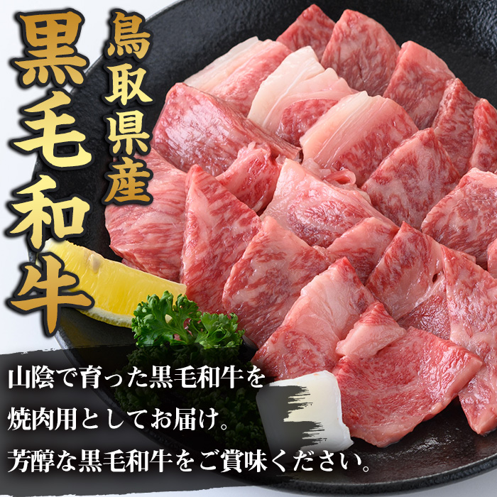 鳥取黒毛和牛ロース焼肉用(380g)【sm-AP006】【いろは精肉本店】