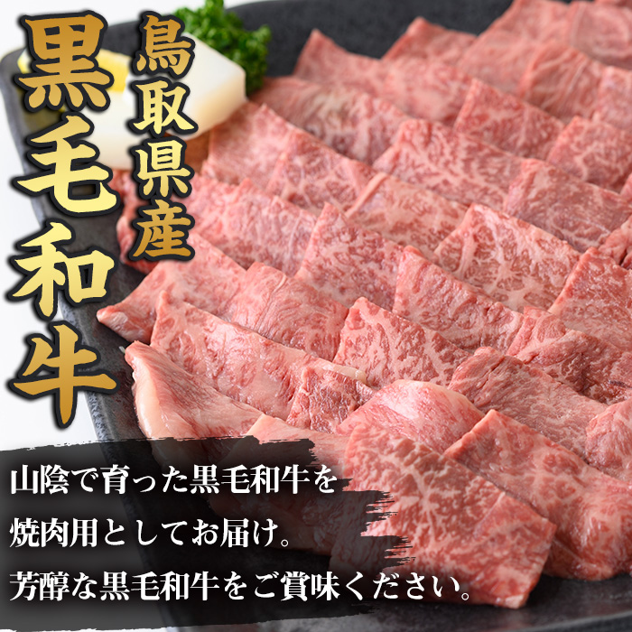 鳥取黒毛和牛もも焼肉用(計760g)【sm-AP008】【いろは精肉本店】