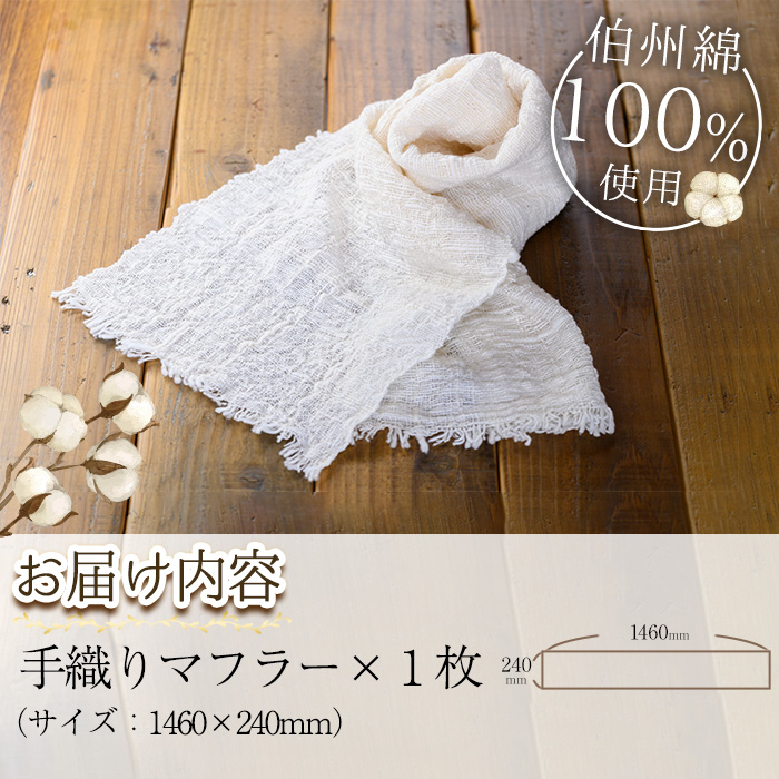 伯州綿マフラー(1枚)【sm-BC001】【浜っ子】