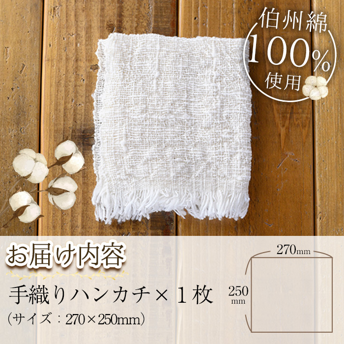 伯州綿ハンカチ(1枚)【sm-BC002】【浜っ子】