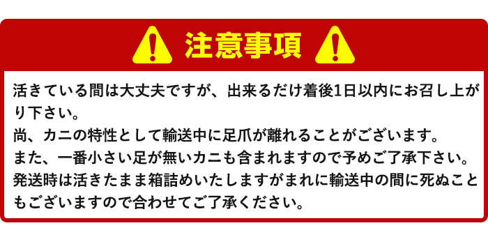 ＜先行予約受付中！11月中旬～3月中旬発送予定＞＜期間限定＞活松葉ガニ 特々大 1.2kg【sm-BE003】【川口商店】
