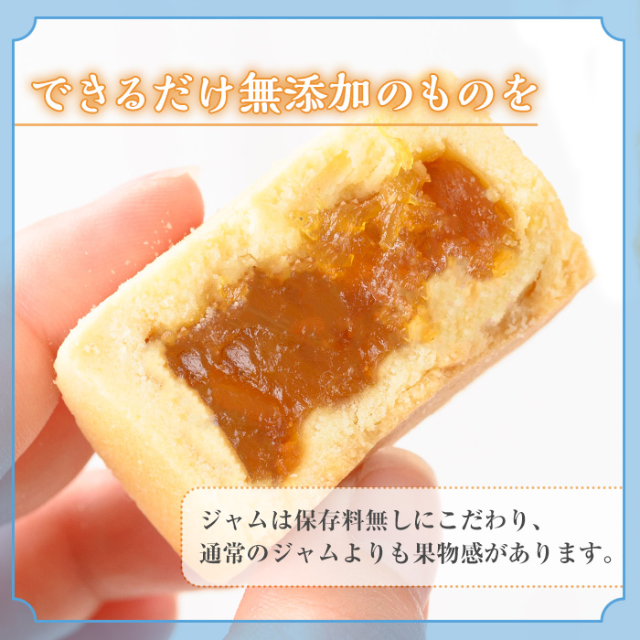 鳳梨パイナップルケーキセット(計11個)【sm-BH001】【ブライアンテック】