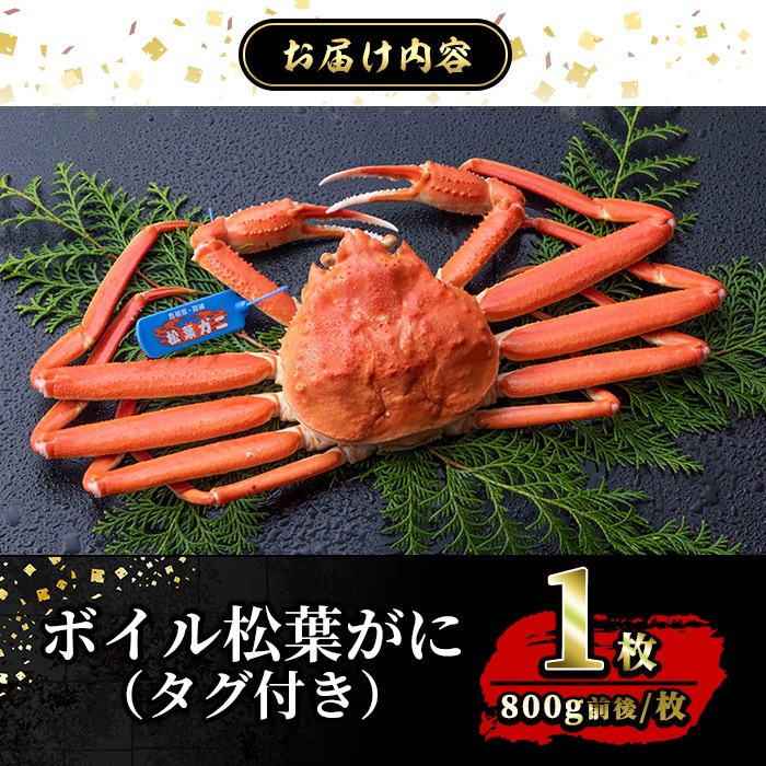 ＜平日着※指定日不可＞＜1月初旬～2月下旬発送予定＞＜期間限定・数量限定＞境港水揚げ 松葉ガニ(1枚)【sm-BP001-A】【フジキコーポレーション】