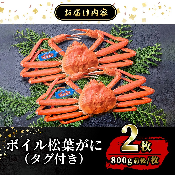 ＜土日祝着※指定日不可＞＜1月初旬～2月下旬発送予定＞＜期間限定・数量限定＞境港水揚げ 松葉ガニ(2枚)【sm-BP002-B】【フジキコーポレーション】