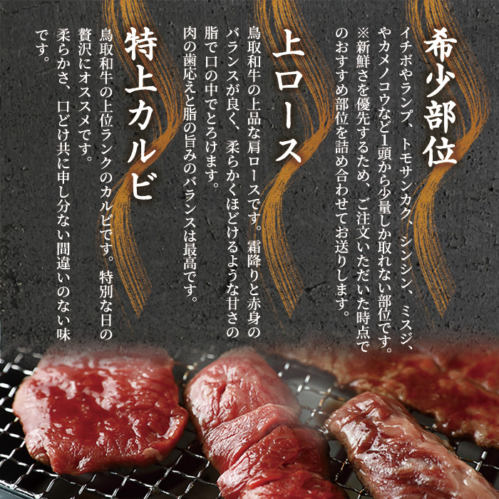 ＜ギフト＞特選上ロース特上カルビ＆希少部位入り焼肉セット(600g)【sm-DC001】【Giverichホールディングス】
