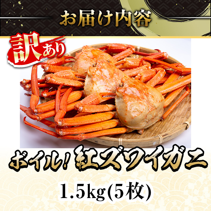 ＜平日着※指定日不可＞＜6月～9月中旬発送不可＞＜訳あり＞紅ズワイガニ ボイル(1.5kg・5枚)【sm-DD060-A】【Workplays】