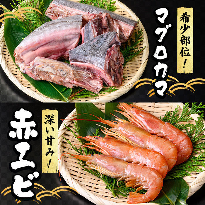 ＜数量限定＞海鮮BBQセット4種(5～6人前)【sm-DG006-C】【木村鮮魚店】