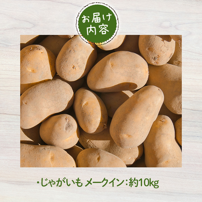 ＜7月中旬～9月中旬発送予定＞じゃがいも メークイン(約10kg)【sm-DI001】【大原茂美】