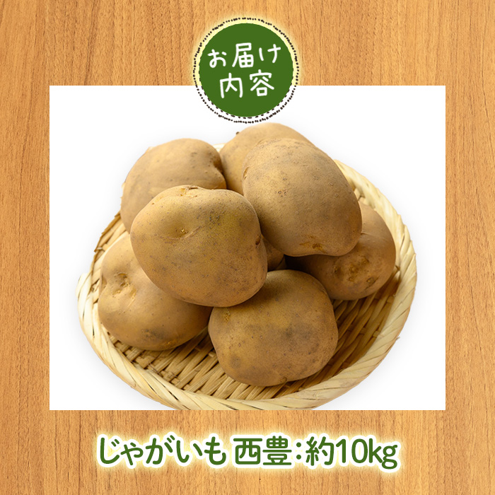 ＜12月中旬～2月中旬発送予定＞じゃがいも 西豊(約10kg)【sm-DI002】【大原茂美】