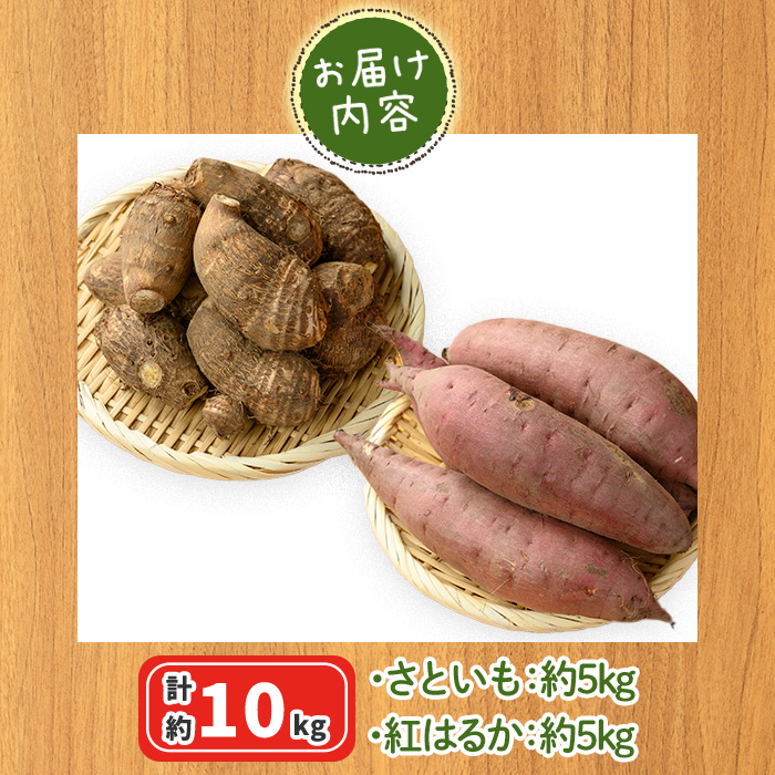 ＜10月上旬～2月下旬発送予定＞さといもと紅はるかのセット(約10kg)【sm-DI003】【大原茂美】