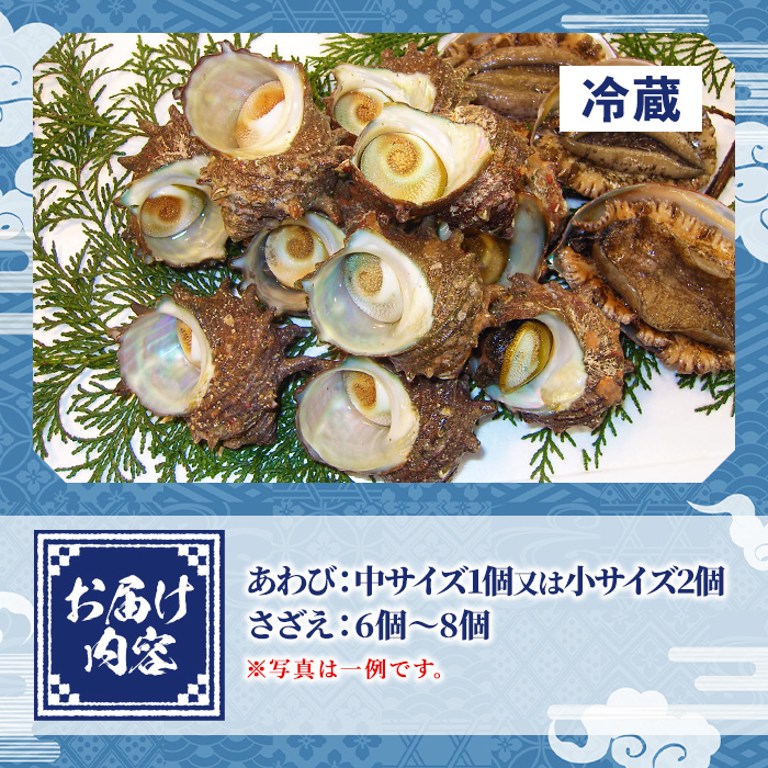 ＜平日着＞＜1月上旬～2月上旬頃順次配送＞あわび・さざえ詰合せ(2種)【sm-AA002-A】【いたくら】