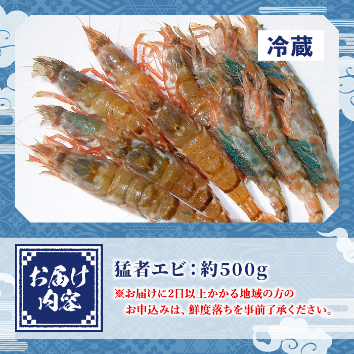 ＜平日着＞＜2026年3月中旬～4月中旬発送予定＞お刺身用モサエビ(約500g)【sm-AA007-A】【いたくら】