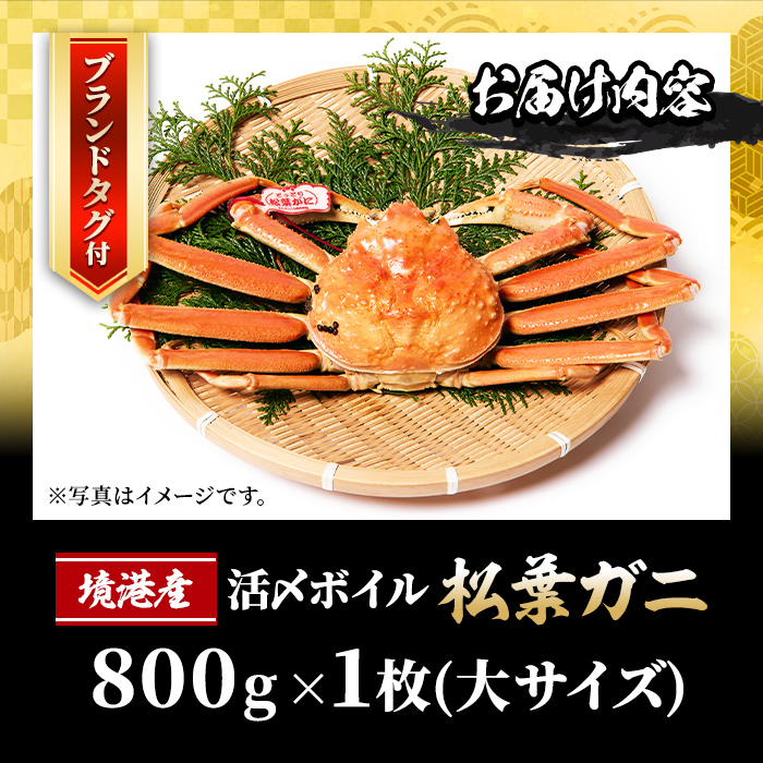 貴重 未使用品 蟹歩作 硬式 稀作 紫陽花 節巻 4本継