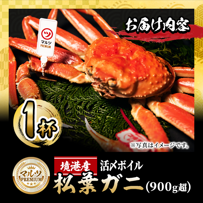 ＜11月中旬～順次発送予定＞＜平日着※指定日不可＞【マルツPREMIUM】活〆ボイル松葉蟹(900g～)【sm-AL013-A】【マルツ】