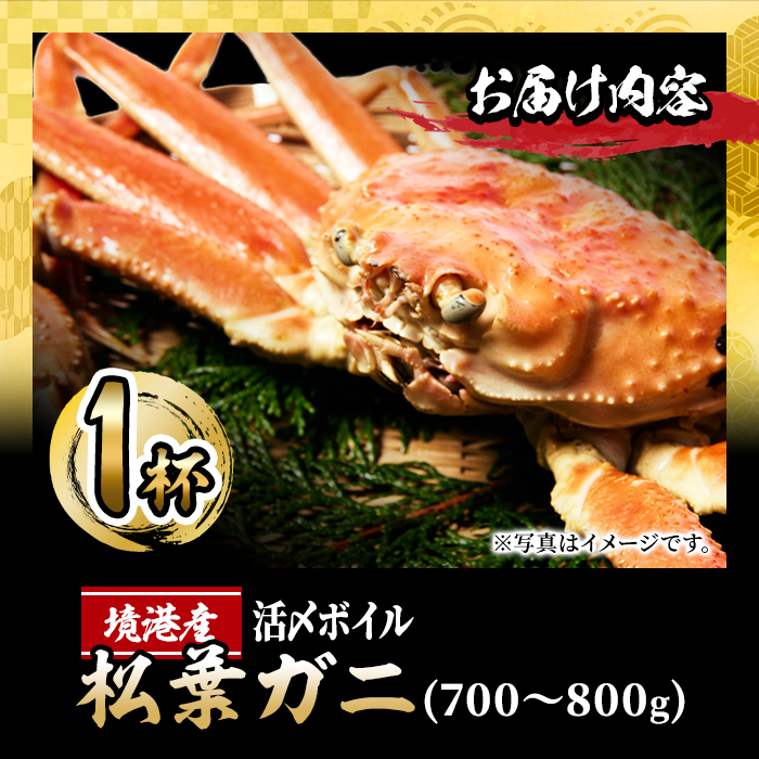 ＜11月中旬～順次発送予定＞＜訳あり・土日祝着※指定日不可＞活〆ボイル松葉蟹(700～800g)【sm-AL014-B】【マルツ】