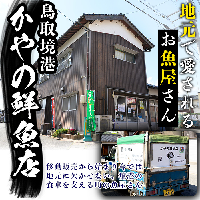 魚屋さんが作った「炊き込みご飯の素」3種セット(鯛・サザエ・白バイ×各1P)【sm-AT001】【榧野鮮魚店】