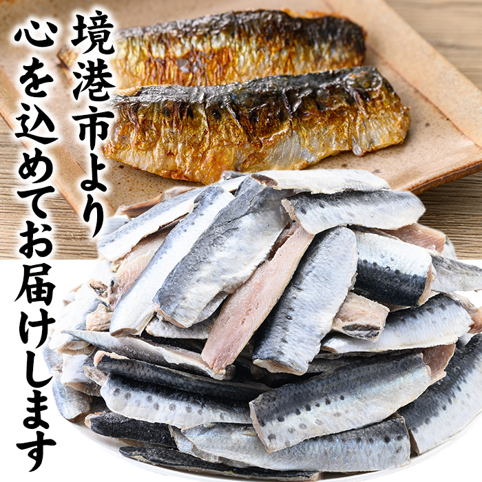 境港産 無塩いわしフィレ(計1kg)【sm-CD010】【羽根】