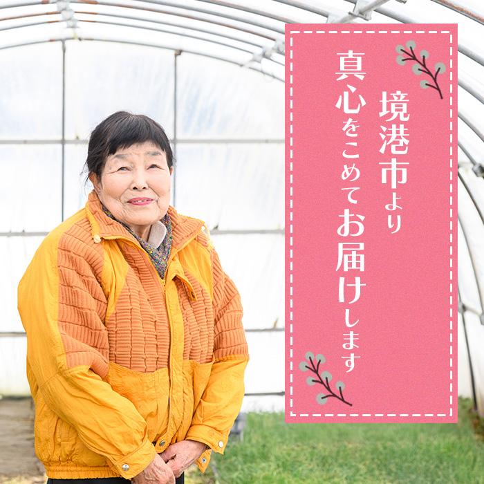 ＜7月中旬～9月中旬発送予定＞じゃがいも メークイン(約10kg)【sm-DI001】【大原茂美】