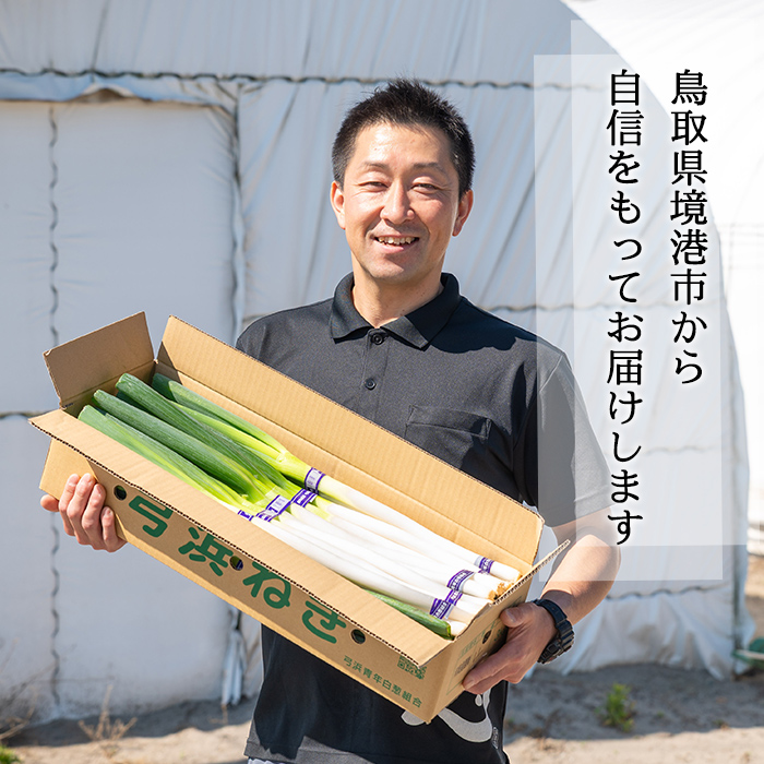 ＜11月上旬～4月下旬発送予定＞白ねぎ(6kg)【sm-DT002】【河岡農園】