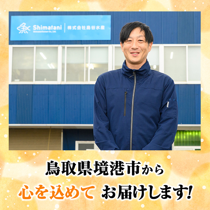 鳥取県産こだわりのアジフィーレフライ(計1.8kg) 【sm-DU001-C】【島谷水産】