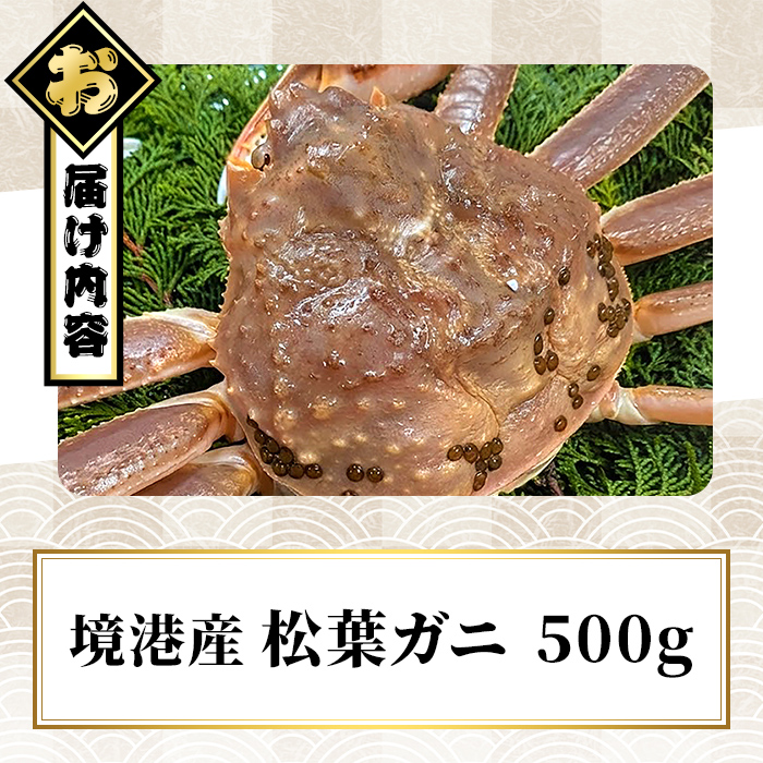 ＜期間限定・数量限定＞＜訳あり＞＜活冷＞境港産 松葉ガニ(500g)【sm-EF001-A】【やまのおかげ屋】