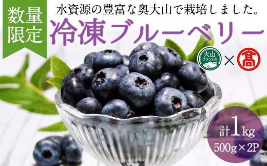 ＜数量限定＞冷凍ブルーベリー(500g×2P・計1kg)【T-BI4】【大山ブランド会】