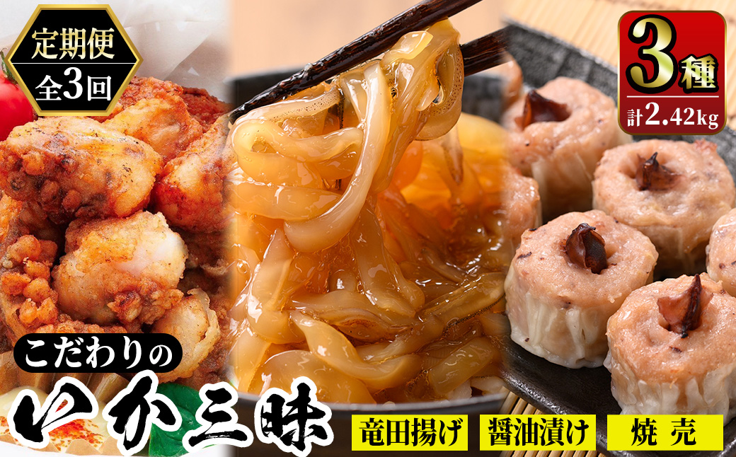 ＜定期便3回＞ いか屋が作ったこだわりのいか三昧(3種) 【sm-AJ009】【福栄】