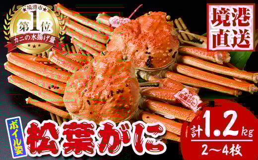 松葉がに ボイル姿(2～4枚・計1.2kg)【sm-AK006】【大漁市場なかうら】