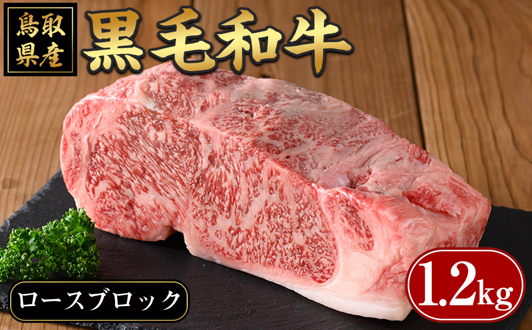 鳥取黒毛和牛ロースブロック(1.2kg)【sm-AP005】【いろは精肉本店】